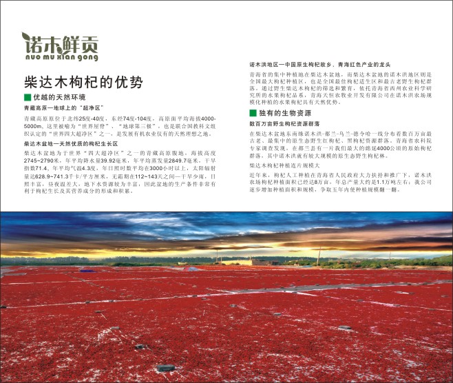 &#19990;&#30028;&#26479;&#24179;&#21488;&#45;&#19990;&#30028;&#26479;&#40;&#20013;&#22269;&#41;&#19968;&#31449;&#24335;&#26381;&#21153;&#24179;&#21488;