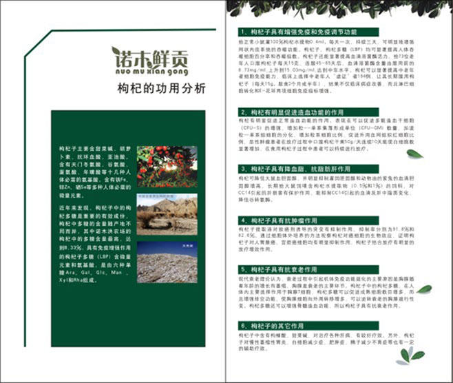 &#19990;&#30028;&#26479;&#24179;&#21488;&#45;&#19990;&#30028;&#26479;&#40;&#20013;&#22269;&#41;&#19968;&#31449;&#24335;&#26381;&#21153;&#24179;&#21488;